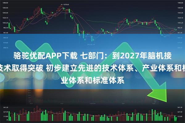 骆驼优配APP下载 七部门：到2027年脑机接口关键技术取得突破 初步建立先进的技术体系、产业体系和标准体系