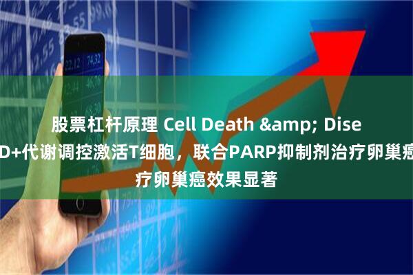 股票杠杆原理 Cell Death & Disease|NAD+代谢调控激活T细胞,联合PARP抑制剂治疗卵巢癌效果显著