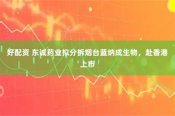 好配资 东诚药业拟分拆烟台蓝纳成生物，赴香港上市